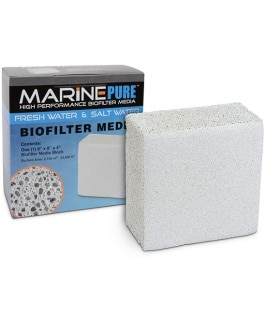 MarinePure Blocks
