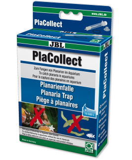 JBL Placollect - Planaria (Flatworm) Trap