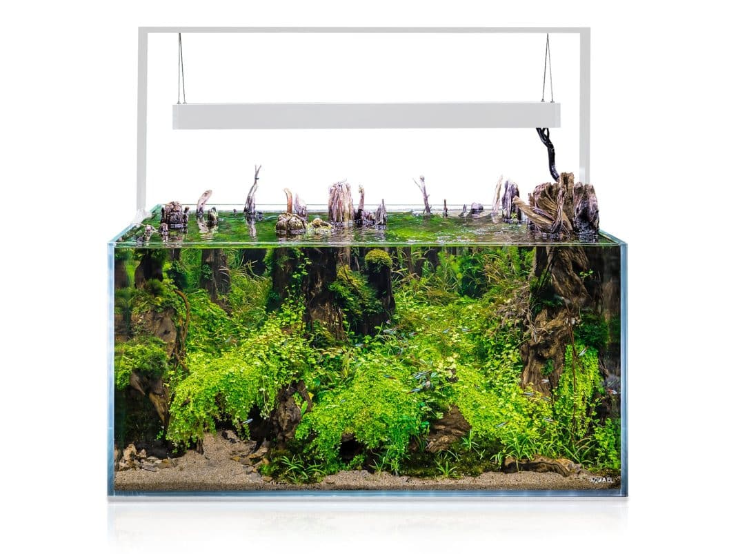 123431_UltraScape_90_snow_01_aquascape_main