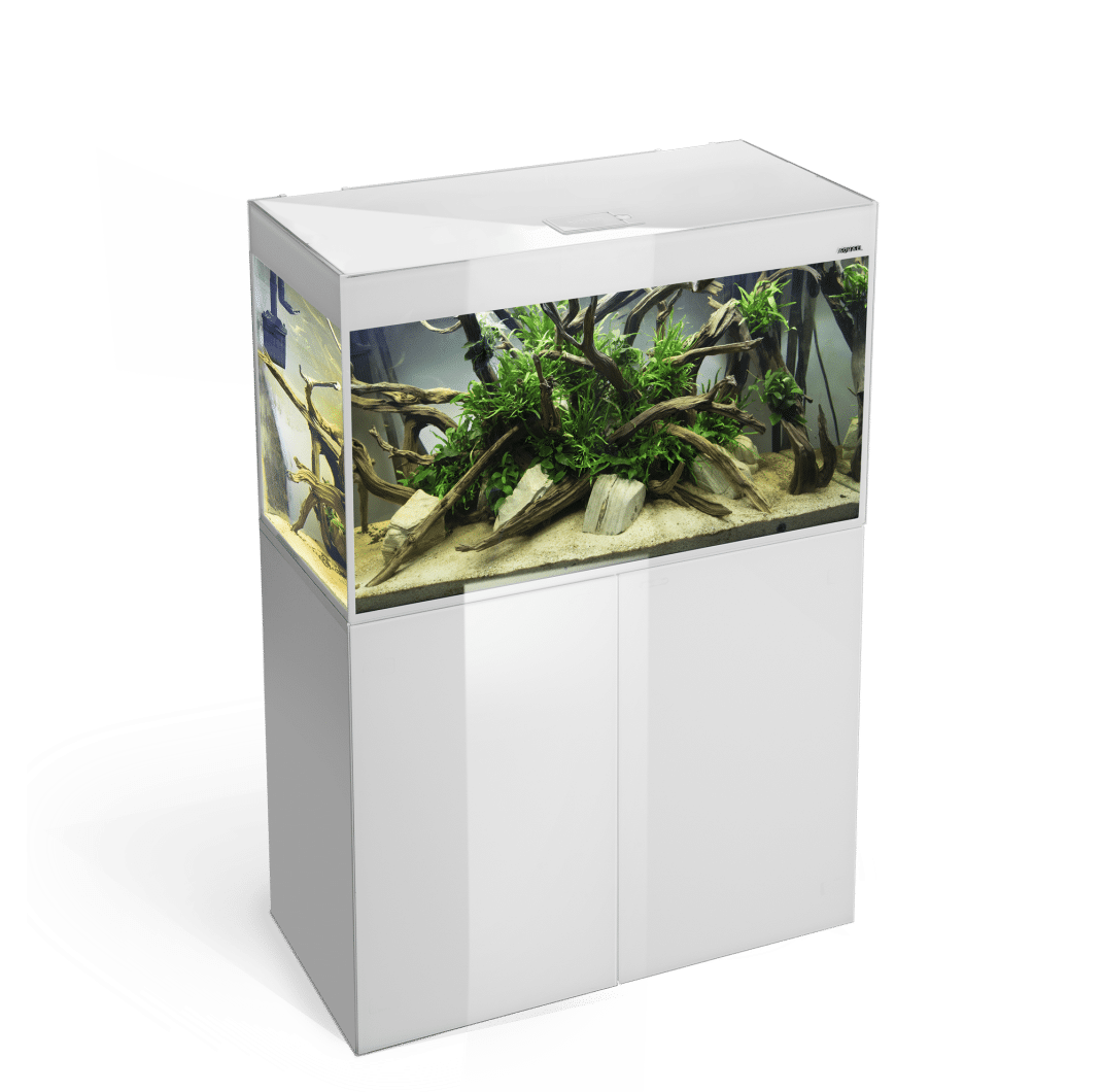 124298_124295_GLOSSY ST 80_100