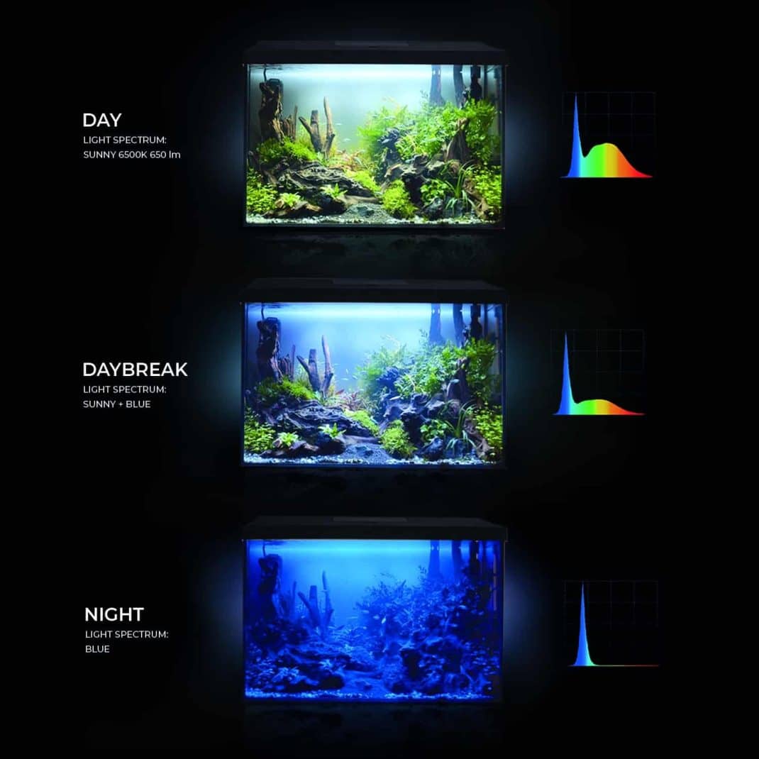 Leddy_XL_lightening_modes_122883_122866