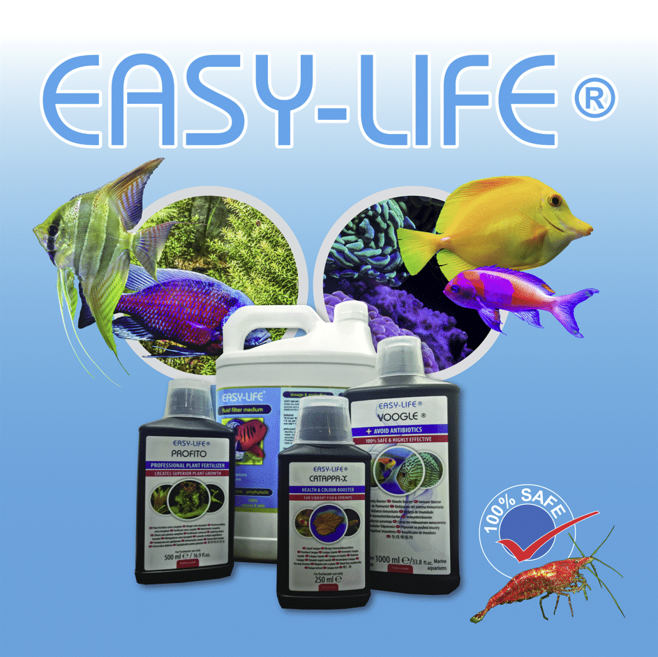 Easylife Banner 80% Snippet.png