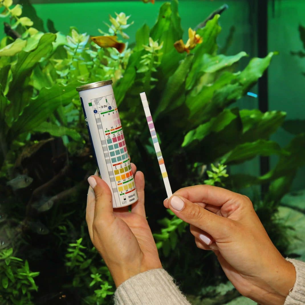 JBL Test Strip P6.jpg