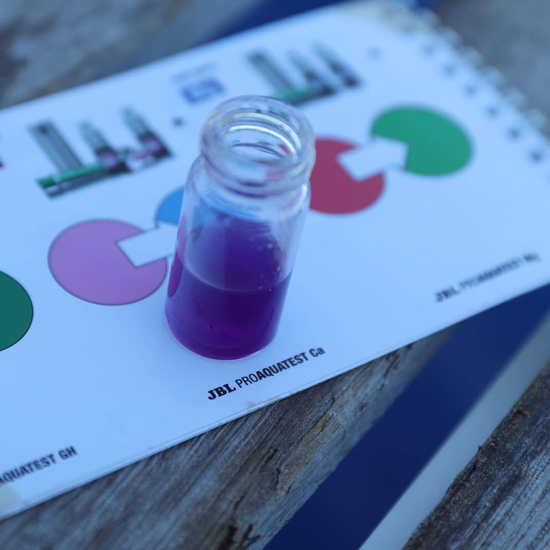 JBL Testlab Suitcase Marine P11.jpg