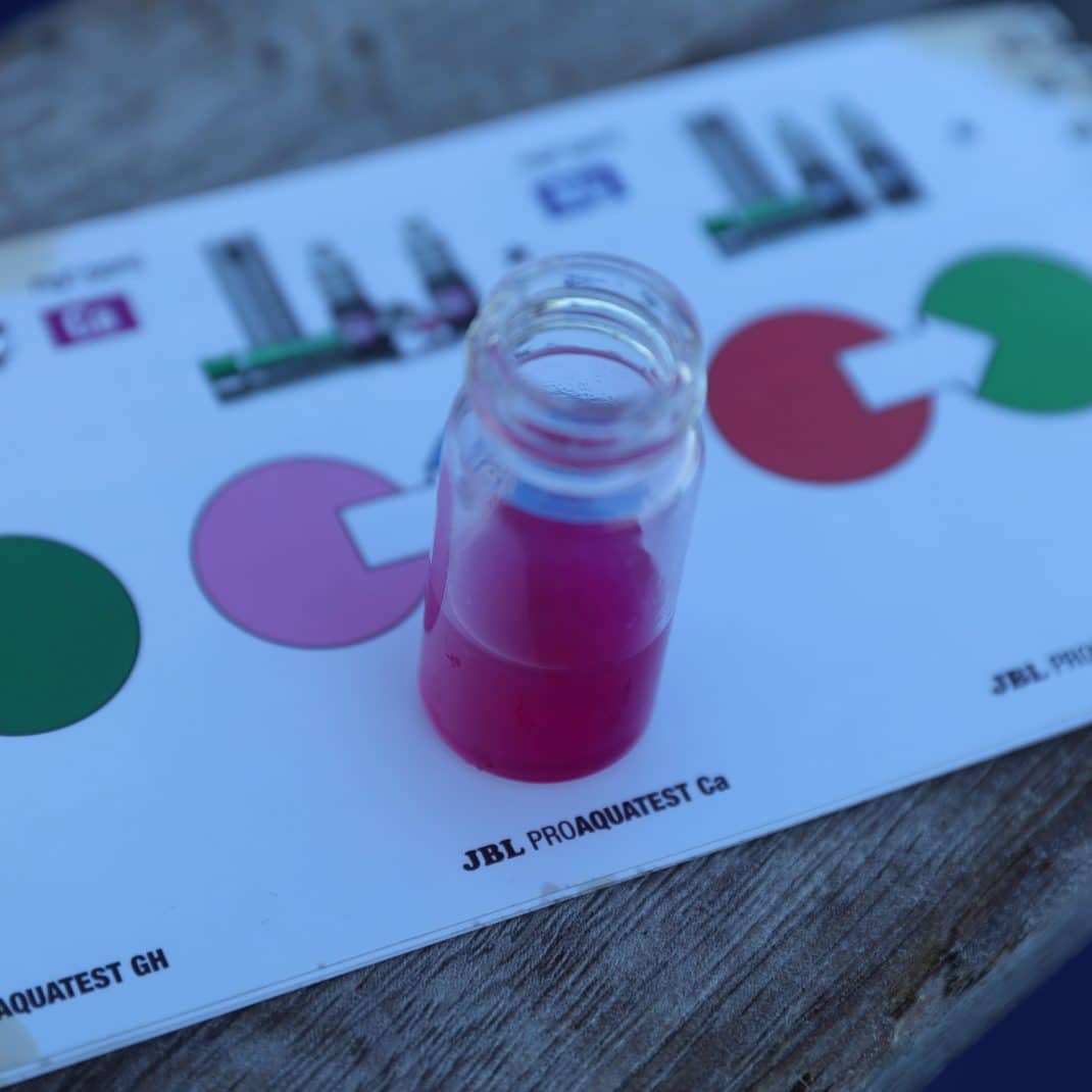 JBL Testlab Suitcase Marine P9.jpg