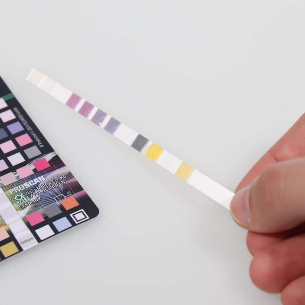 Proscan Recharge p9.jpg