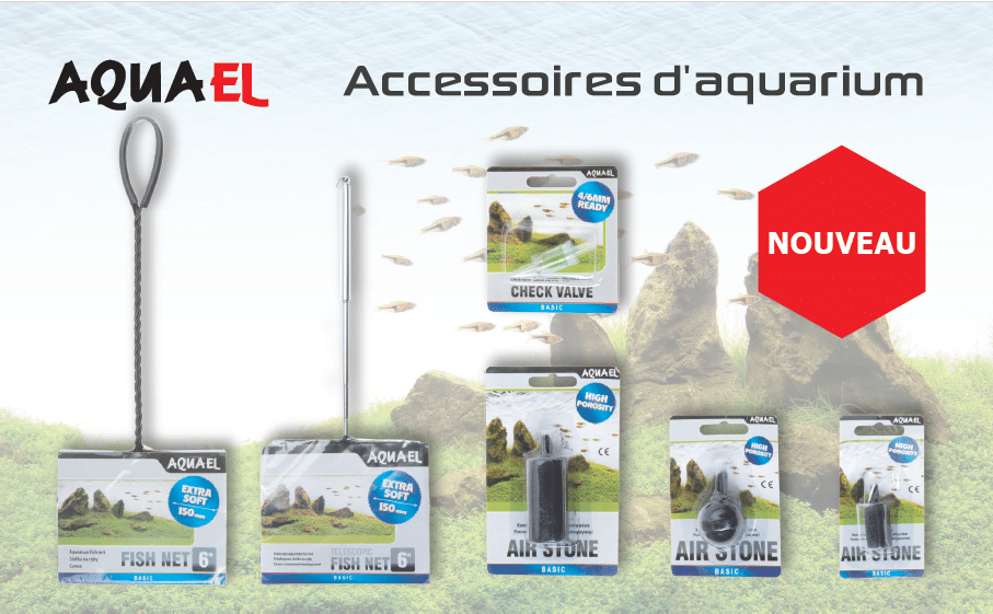 Airstones Family Snippet p2.png