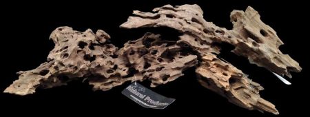 AP Naturals Honeycomb Wood (XL Large)