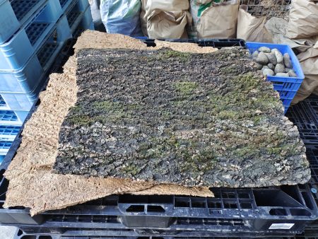 AP Naturals Cork Bark Sheets