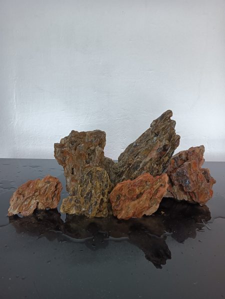 AP Naturals Dragon Stone 20Kg