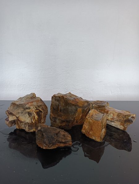 AP Naturals Petrified Wood 20kg