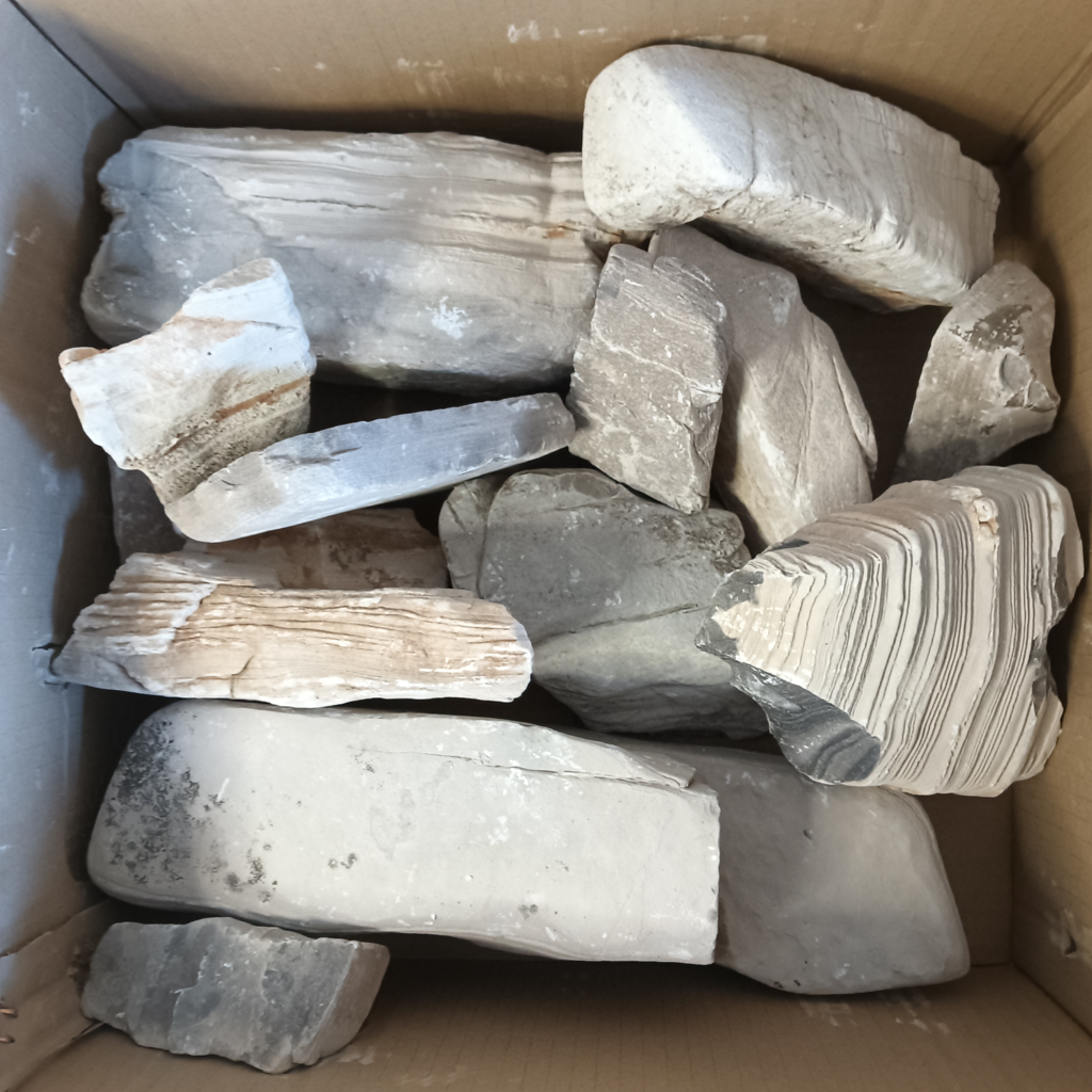 gobi desert top down.png