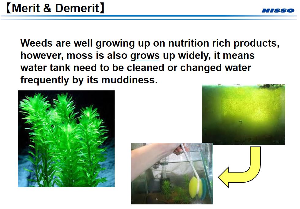 Nisso Slide Show 3 (3).JPG