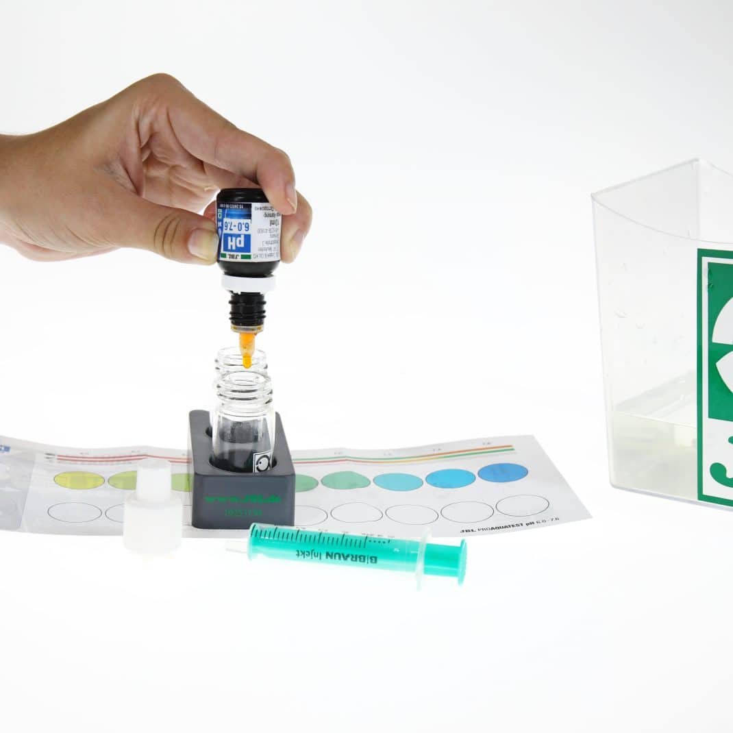 pH 6-7.6 Test Shot 5.jpg