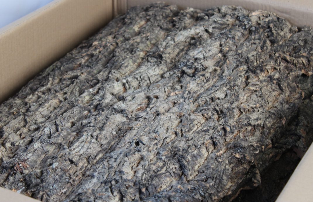 Cork Bark Box Open.JPG