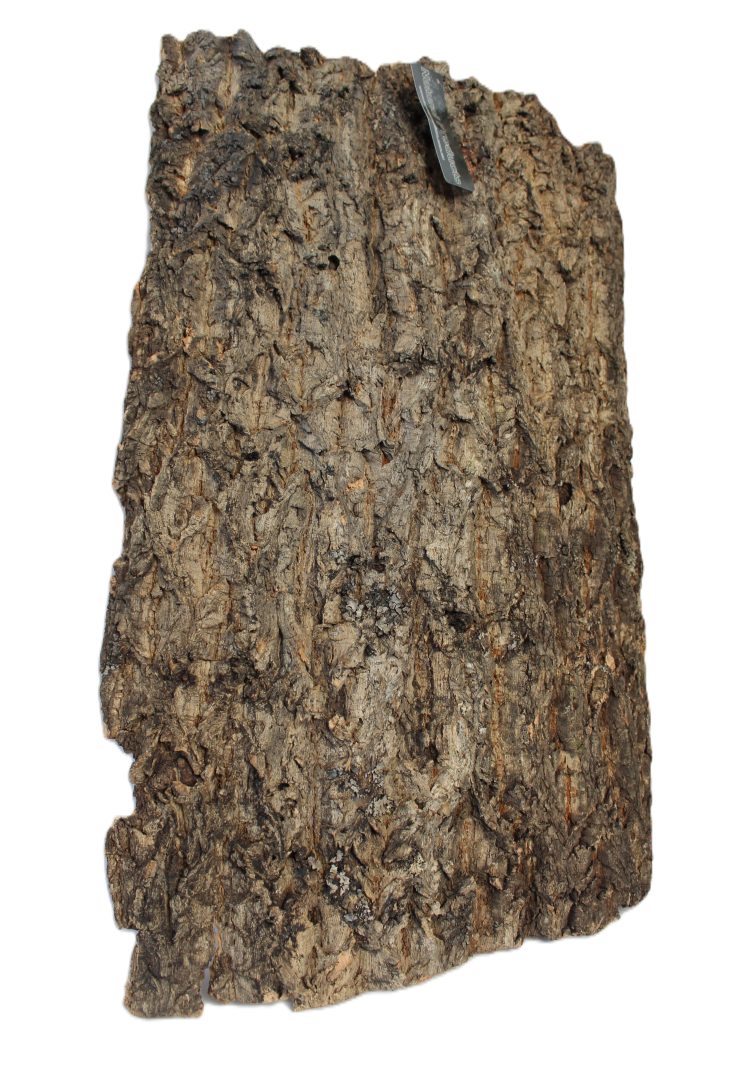 Cork Bark Sample 2.JPG