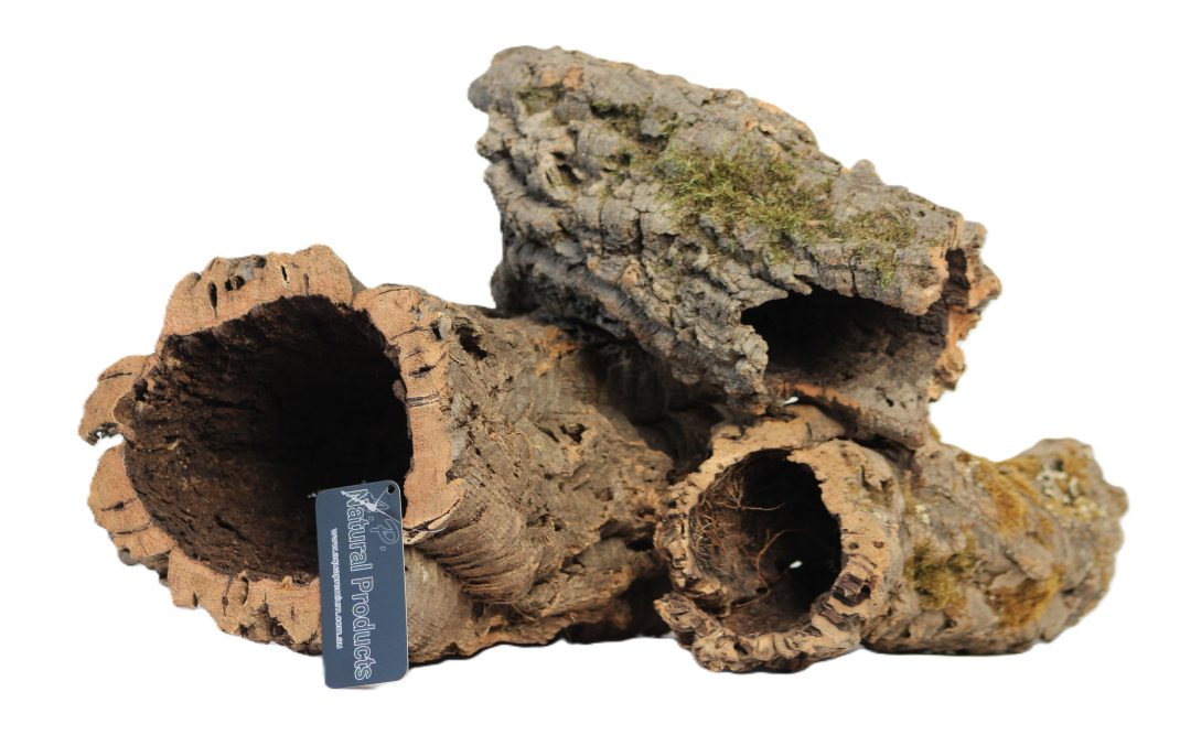 Cork Tube MED Group.JPG