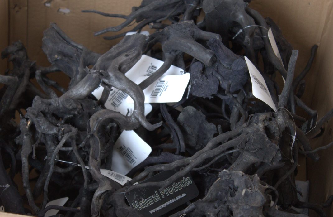 Goldvine - DARK - SML - Box Open.jpg