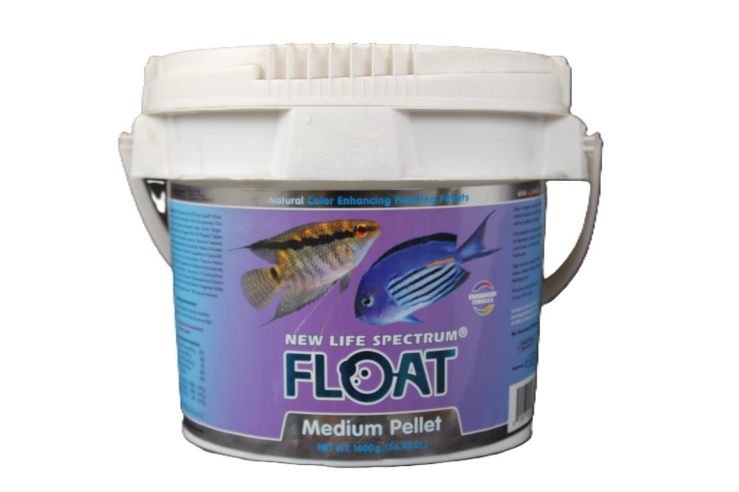 Spectrum - Float - Medium - 1600g.JPG