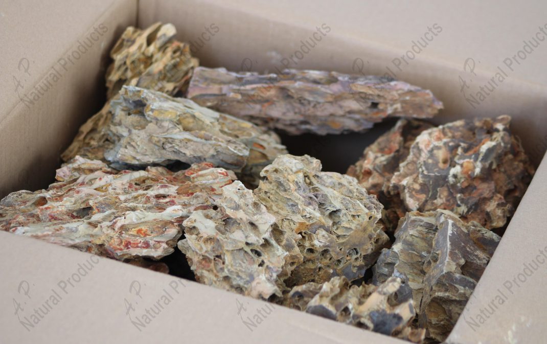 watermarked_Dragon Stone Open Box.JPG