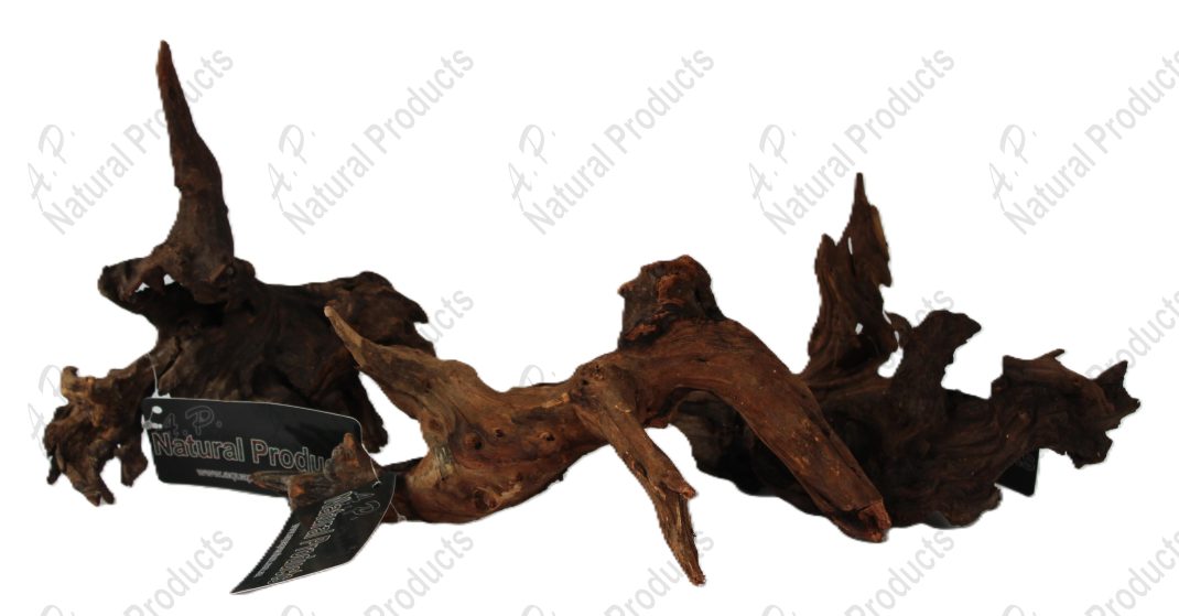 watermarked_Malay – MED – Grouped.JPG