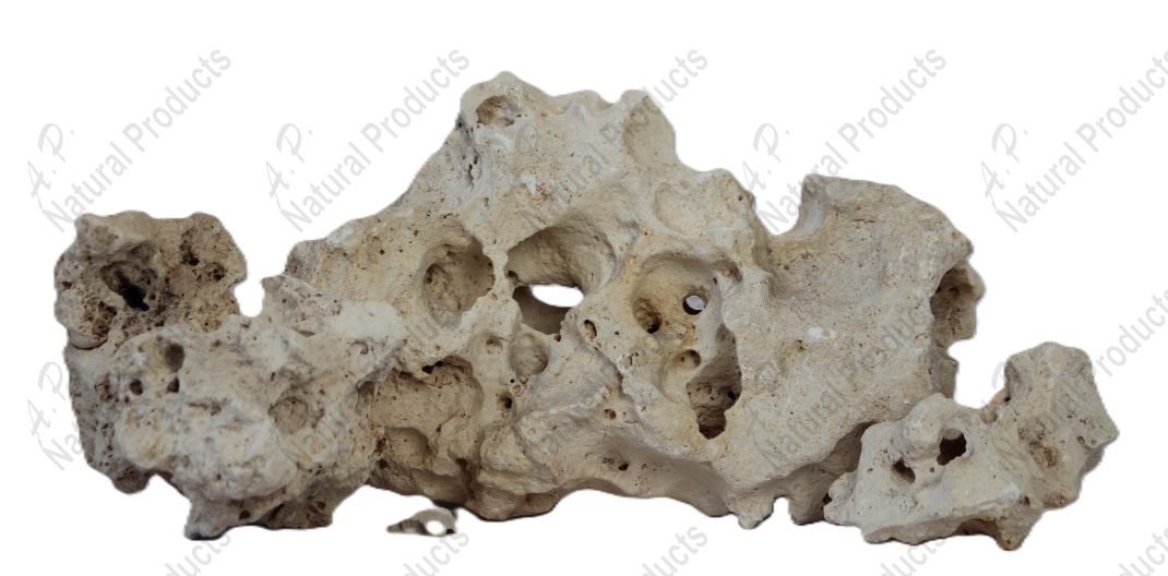 watermarked_Texas Holey Sample 1.JPG