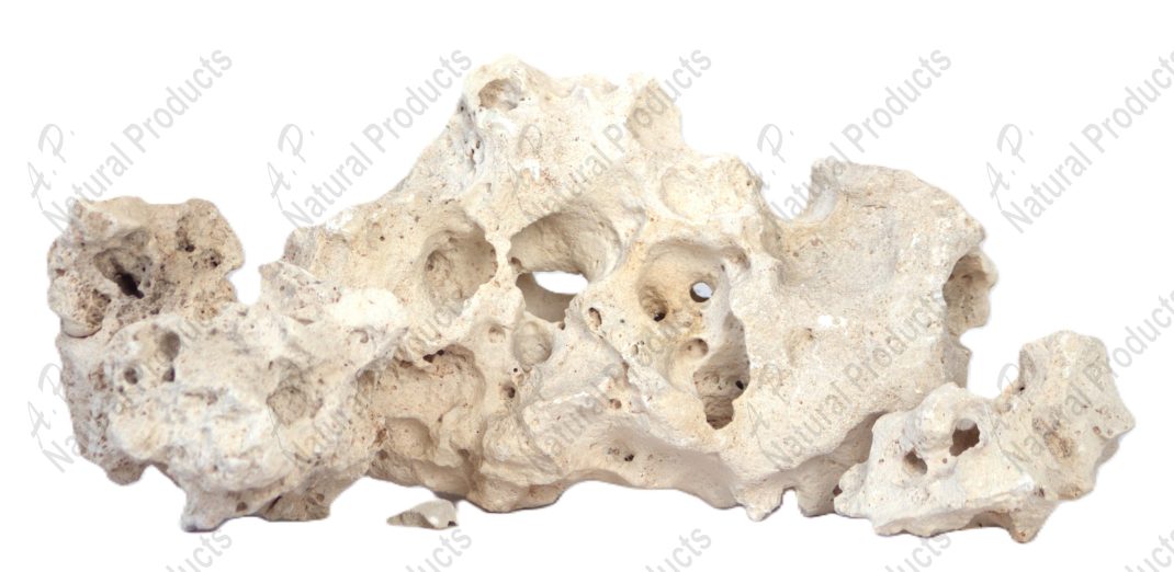 watermarked_Texas Holey Sample 1.1.jpg