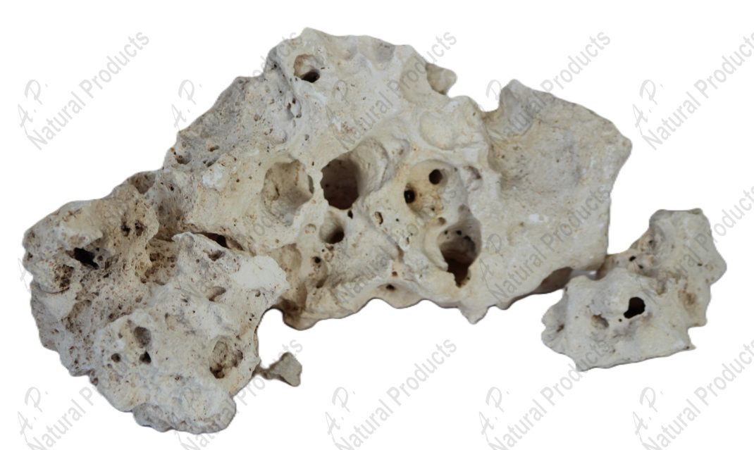 watermarked_Texas Holey Sample 2.1.JPG