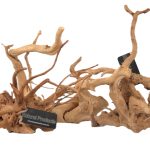 Aquascaping & Decor
