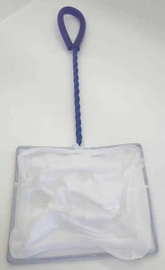 124655-3.webp Nisso Fish Net X-Small Long Handle (NAA036) <div class="markdown markdown-main-panel" dir="ltr" id="model-response-message-contentr_36a29eb816e2b8b9" style="--animation-duration: 400ms;--fade-animation-function: linear;clear: none;columns: auto;cursor: auto;cx: 0px;cy: 0px;d: none;direction: ltr;display: block;filter: none;flex: 0 1 auto;float: none;font: 16px / 28px "Google Sans", "Helvetica Neue", sans-serif;gap: normal;margin: 0px;marker: none;mask: none;opacity: 1;padding: 0px;position: static;r: 0px;rx: auto;ry: auto;stroke: none;transform: none;visibility: visible;x: 0px;y: 0px">
<p data-sourcepos="1:1-1:388" style="clear: none;columns: auto;cursor: auto;cx: 0px;cy: 0px;d: none;direction: ltr;display: block;filter: none;flex: 0 1 auto;float: none;font: 16px / 28px "Google Sans", "Helvetica Neue", sans-serif;gap: normal;margin: 0px 0px 16px;marker: none;mask: none;opacity: 1;padding: 0px;position: static;r: 0px;rx: auto;ry: auto;stroke: none;transform: none;visibility: visible;x: 0px;y: 0px">The Nisso Fish Net is an essential tool for aquarium owners, designed for safely and efficiently capturing fish and other aquatic creatures. Made with durable materials and a fine mesh, it ensures gentle handling and minimizes stress on fish during transfer or relocation. Its ergonomic handle and easy-to-clean design make it a practical and long-lasting tool for aquarium maintenance.</p>
</div>